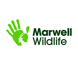 Marwell Wildlife